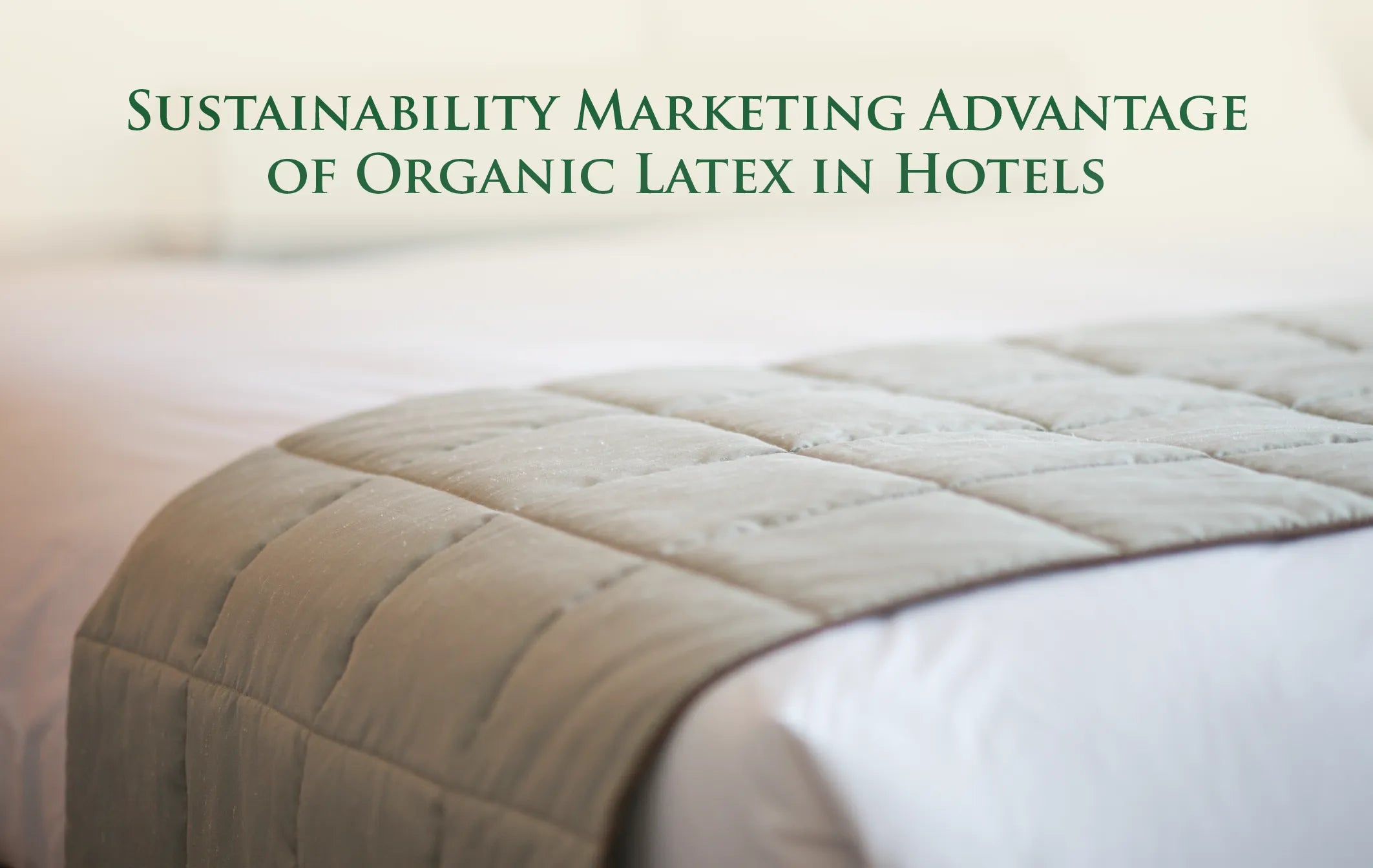 organic latex in hotels
